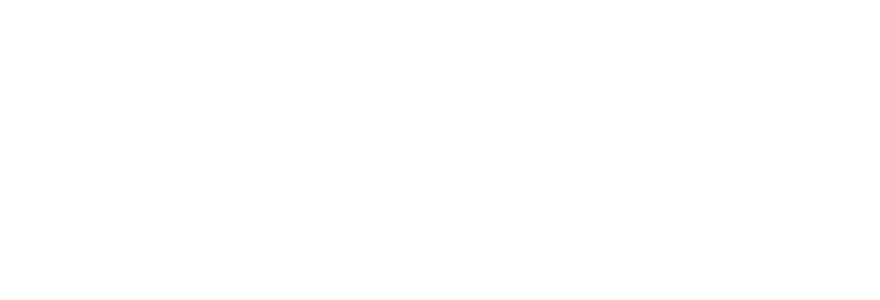 falconDev-Logo